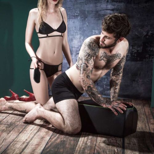 325E214_3-Fleshlight-Mount-on-a-Mission.jpg 325E214_3-Fleshlight-Mount-on-a-Mission.jpg