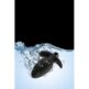 332E482_2-ANAL-ADVENTURES-SILICONE-SADDLE-PLUG.jpg