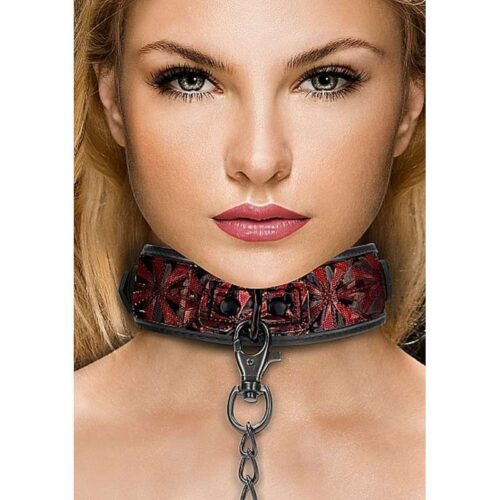 334E234_1-Luxury-Collar-with-Leash-Burgundy.jpg 334E234_1-Luxury-Collar-with-Leash-Burgundy.jpg
