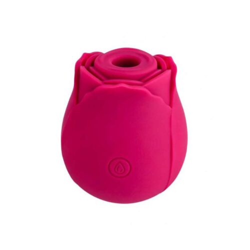 335E100_1-Stymulator-ROSE-Massager-USB-10-function.jpg
