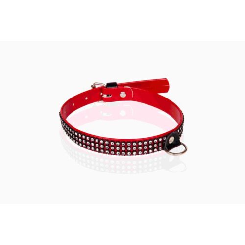 346E340_2-Whips-Vegan-Czerwona-obroa-damska-z-krysztakami-2cm.jpg 346E340_2-Whips-Vegan-Czerwona-obroa-damska-z-krysztakami-2cm.jpg