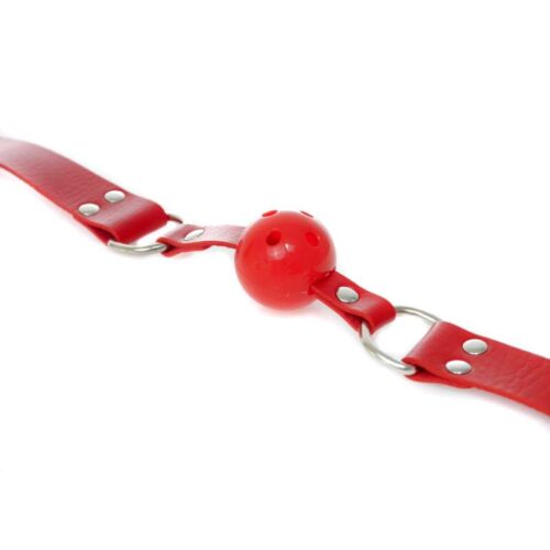 352E006_2-Knebel-Ball-Gag-Fetish-Boss-Series.jpg 352E006_2-Knebel-Ball-Gag-Fetish-Boss-Series.jpg