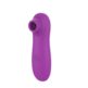 353E611_1-Air-Stimulator-USB-10-functions-Purple.jpg