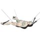 356E733_3-Sex-Swing.jpg