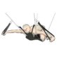 356E733_4-Sex-Swing.jpg