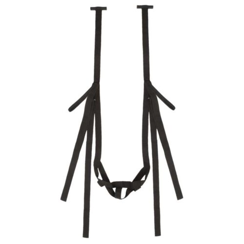 356E736_2-Bad-Kitty-Door-Swing.jpg 356E736_2-Bad-Kitty-Door-Swing.jpg