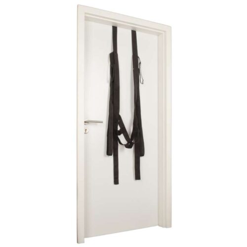 356E736_3-Bad-Kitty-Door-Swing.jpg 356E736_3-Bad-Kitty-Door-Swing.jpg